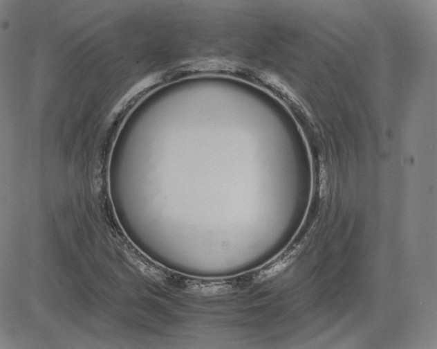 X0000080711213200701051001