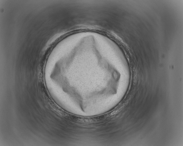 X0000080711215200701051001