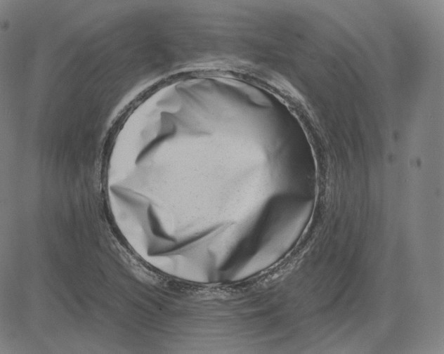 X0000080711216200701051001