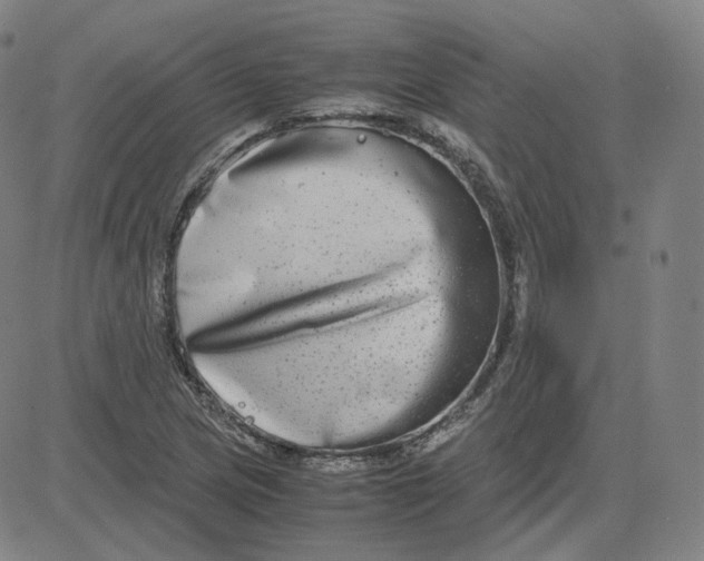 X0000080711217200701051001