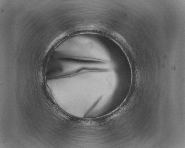 X0000080711218200701051001