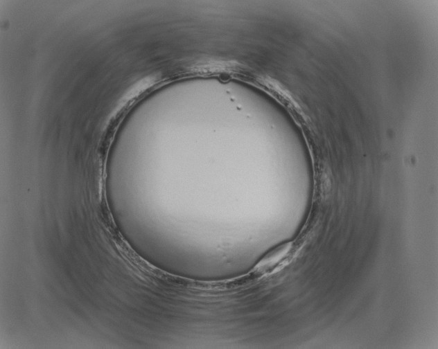 X0000080711219200701051001