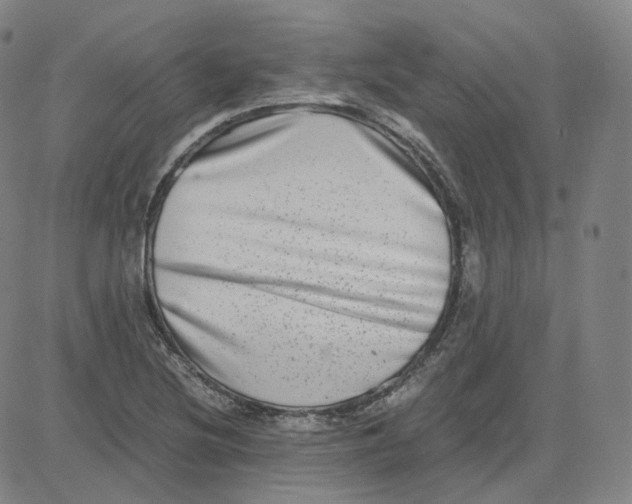 X0000080711220200701051001