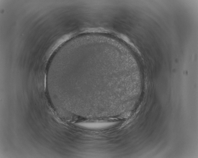 X0000080711221200701051001