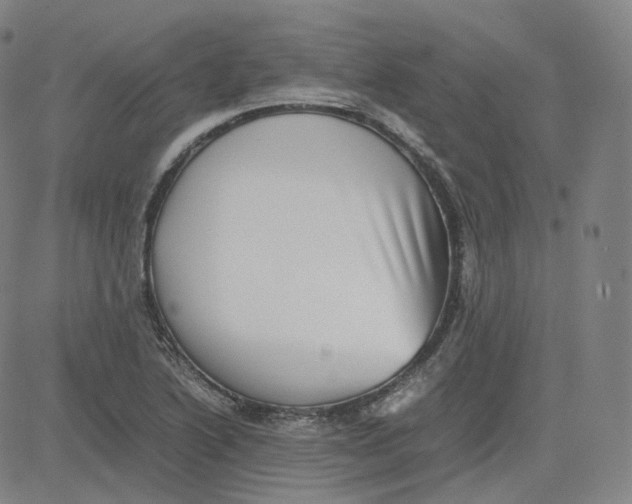 X0000080711222200701051001