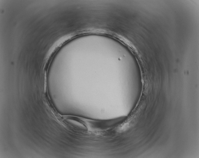 X0000080711223200701051001