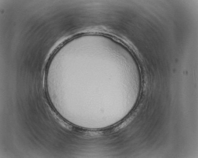 X0000080711224200701051001