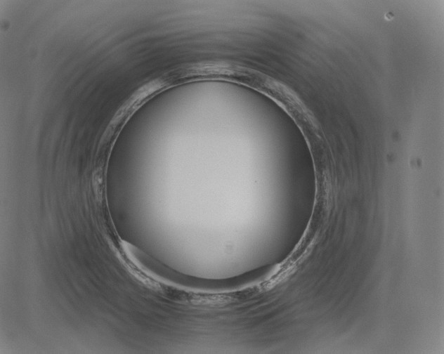 X0000080711225200701051001