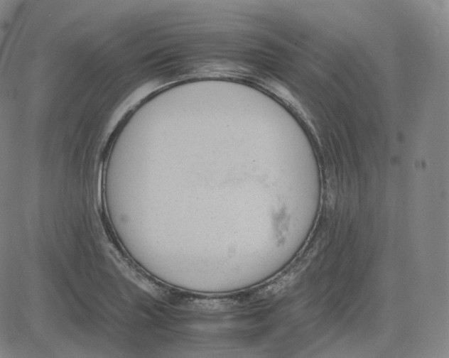 X0000080711227200701051001