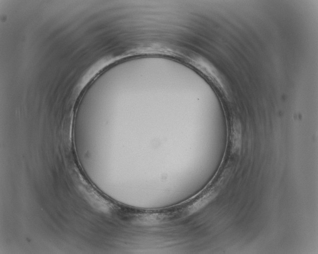 X0000080711228200701051001