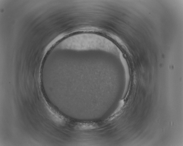 X0000080711229200701051001