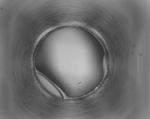 X0000080711230200701051001