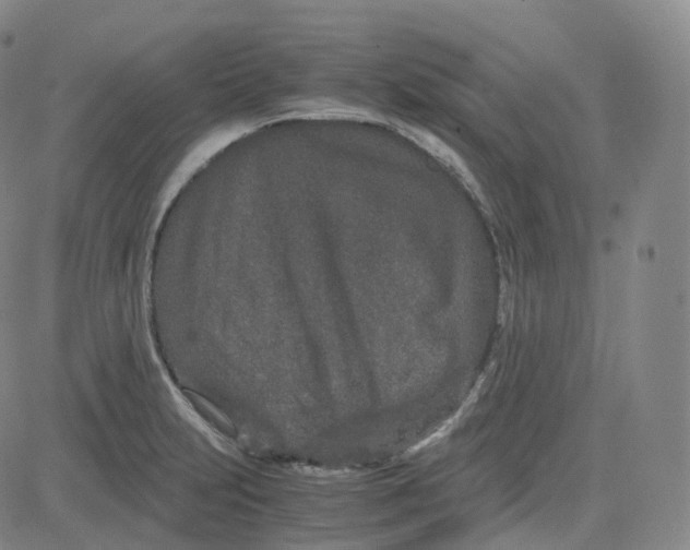 X0000080711231200701051001