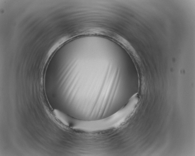 X0000080711234200701051001