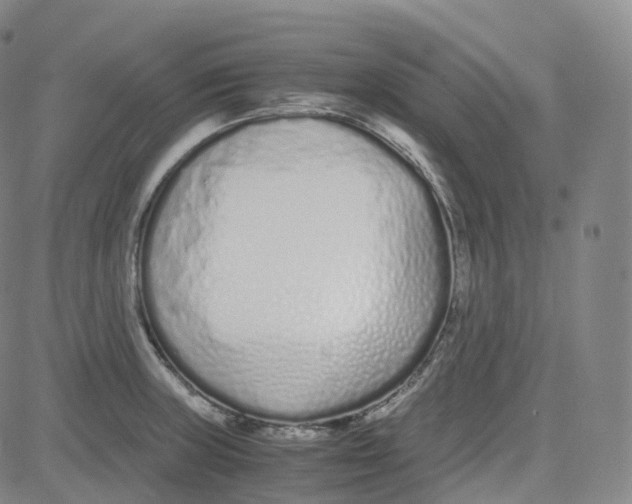 X0000080711235200701051001