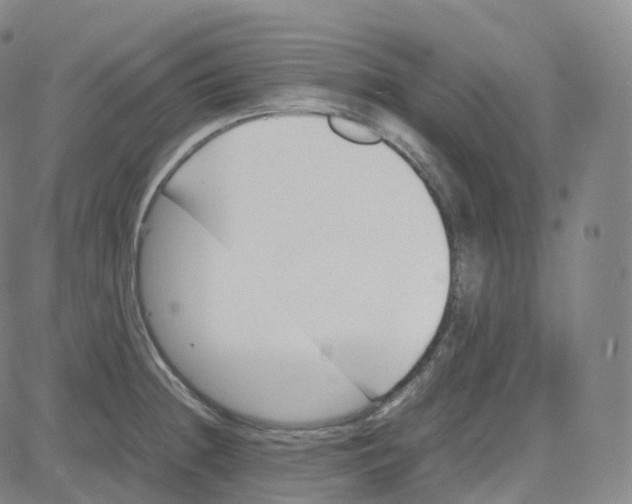 X0000080711236200701051001