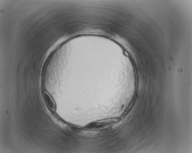 X0000080711237200701051001