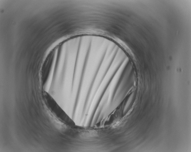 X0000080711238200701051001