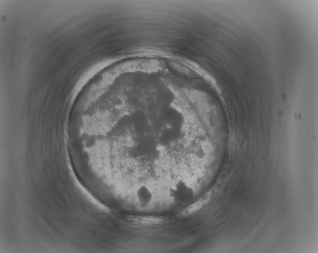 X0000080711239200701051001