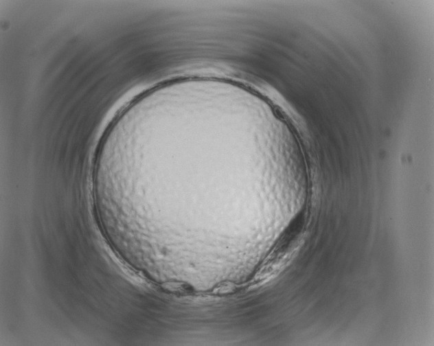 X0000080711240200701051001