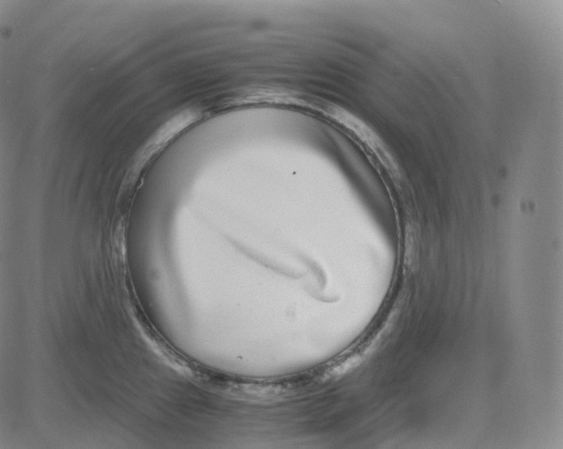 X0000080711241200701051001