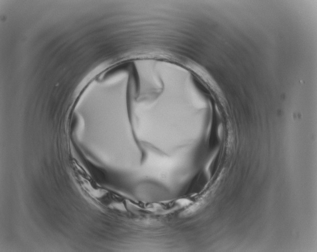 X0000080711242200701051001