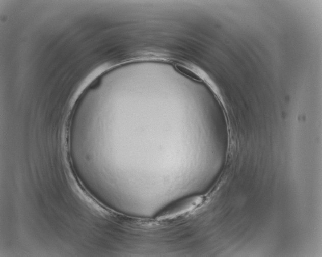 X0000080711243200701051001