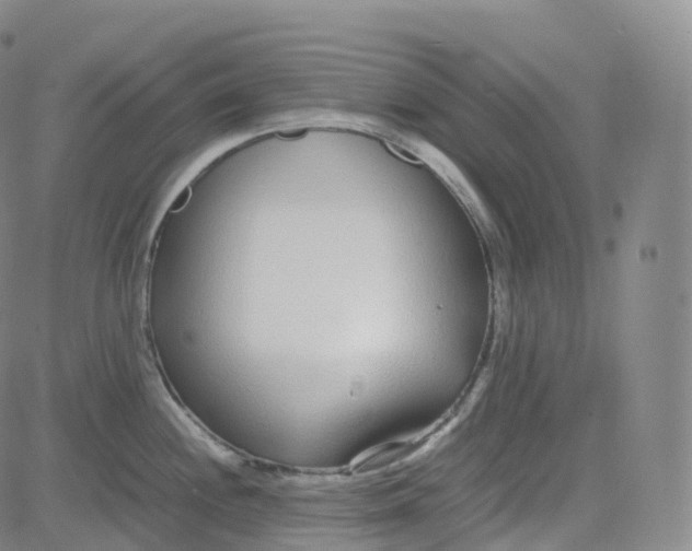 X0000080711244200701051001