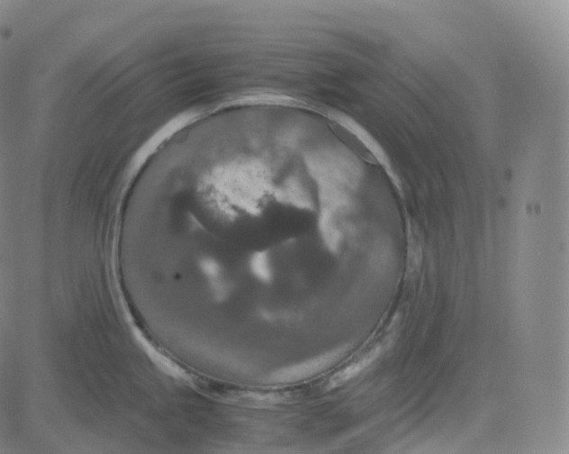 X0000080711245200701051001