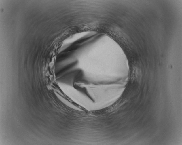 X0000080711250200701051001