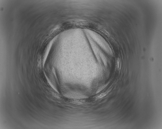 X0000080711251200701051001