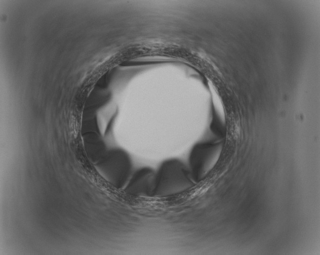 X0000080711253200701051001