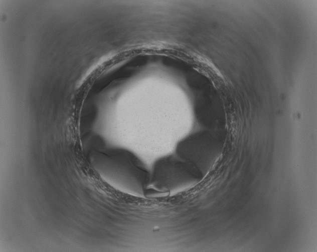 X0000080711256200701051001