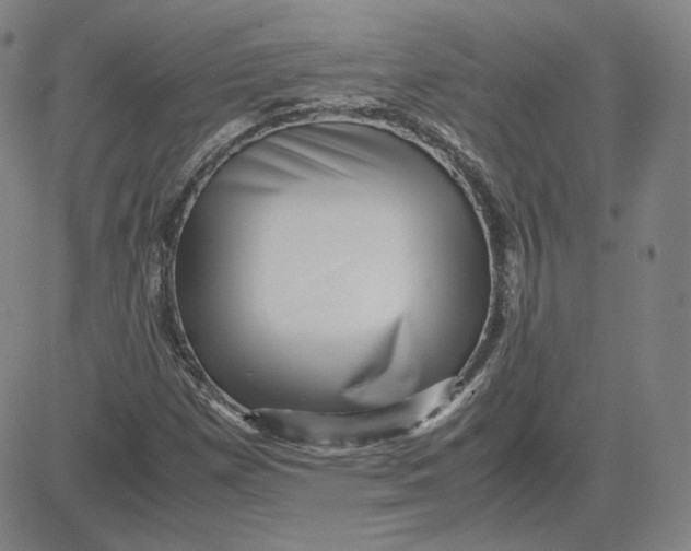 X0000080711257200701051001