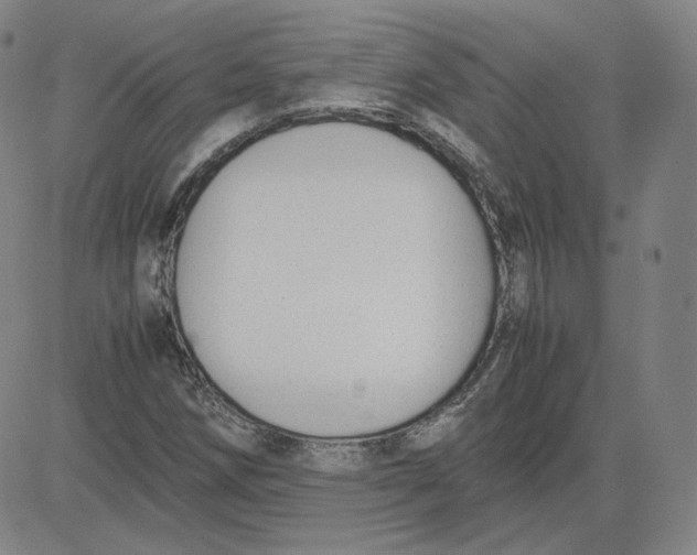 X0000080711258200701051001