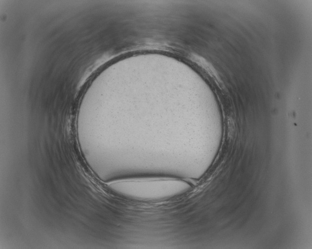 X0000080711260200701051001