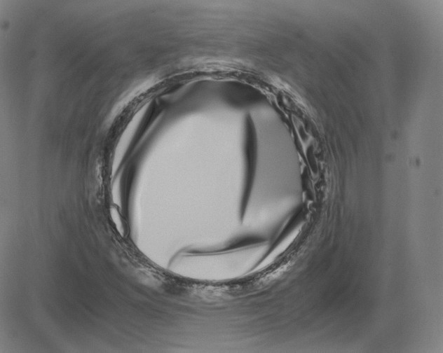 X0000080711261200701051000