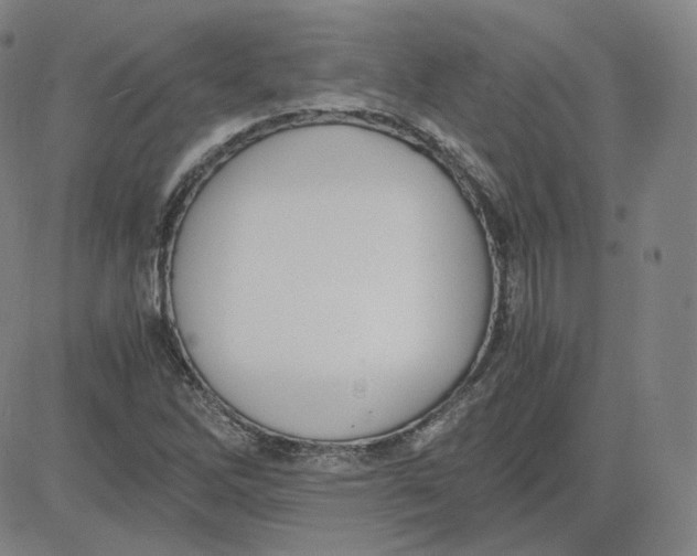 X0000080711262200701051000