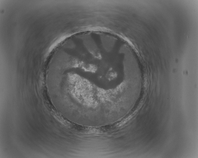 X0000080711263200701051000