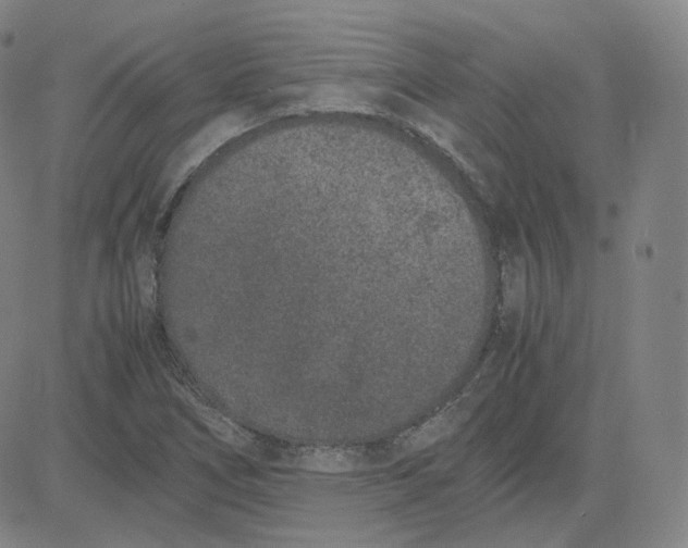 X0000080711266200701051000