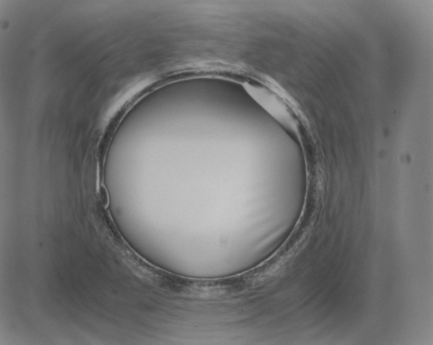 X0000080711269200701051000