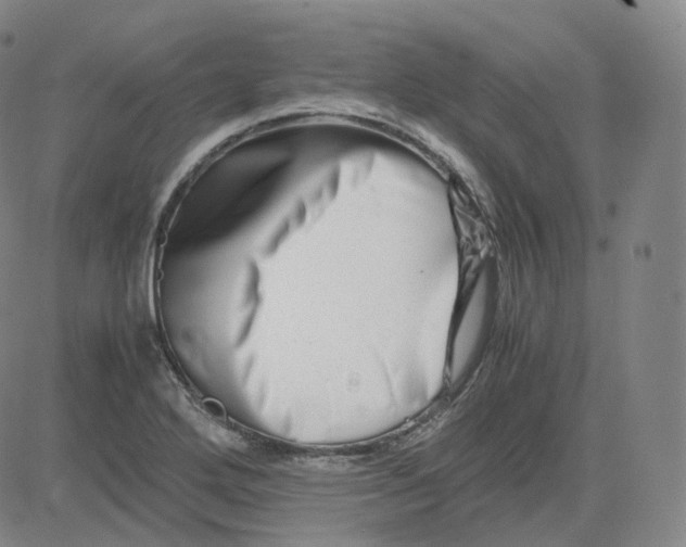 X0000080711272200701051000