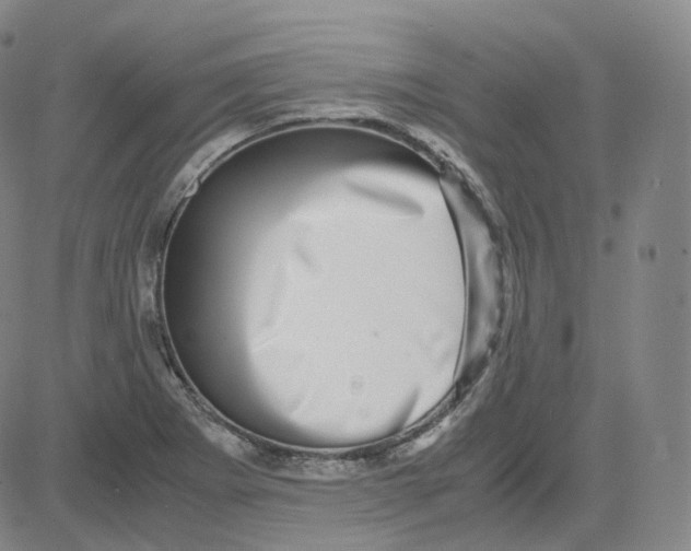 X0000080711273200701051000