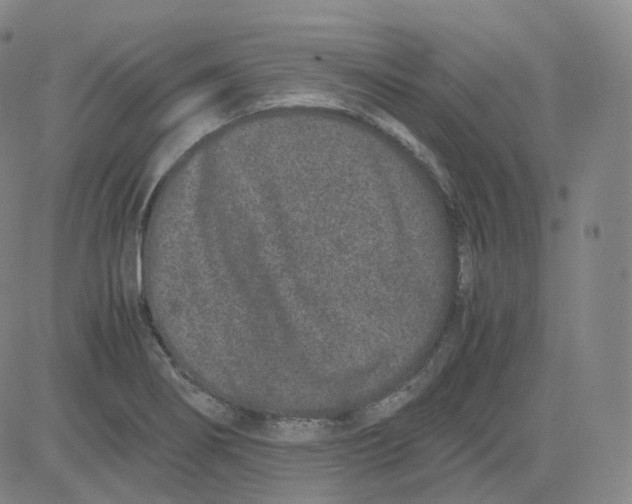 X0000080711274200701051000