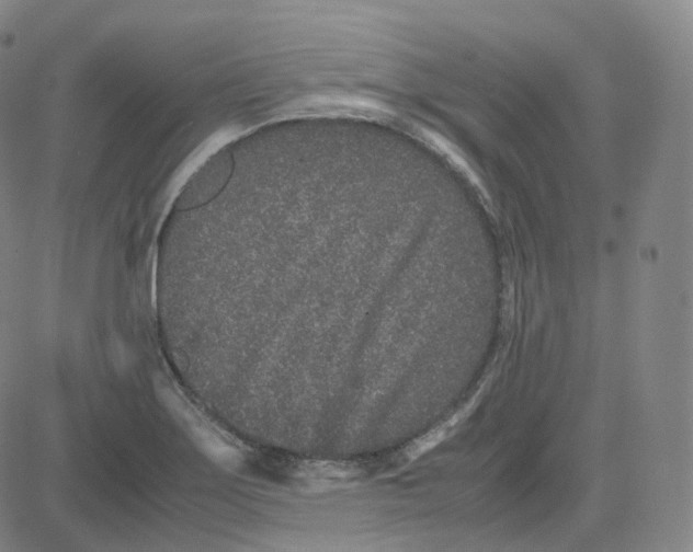 X0000080711275200701051000