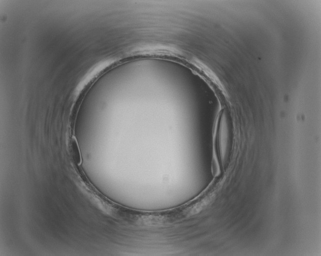 X0000080711277200701051000