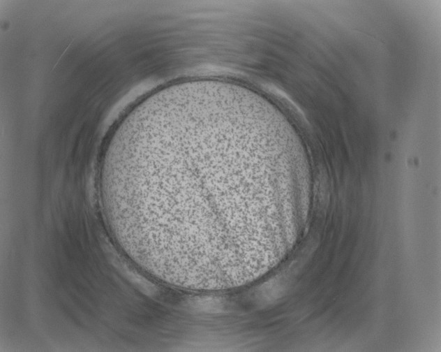 X0000080711278200701051000