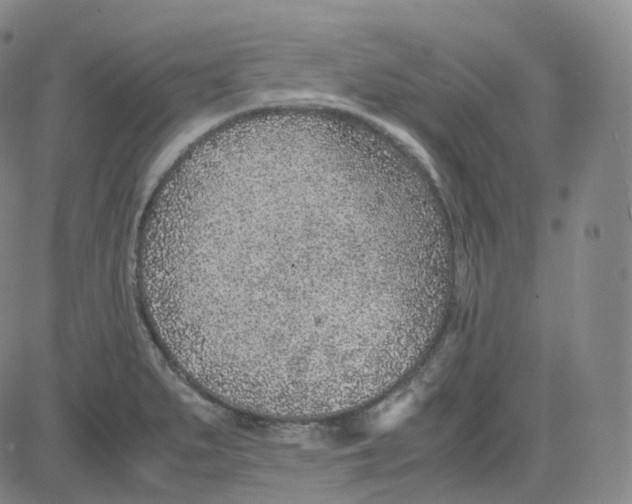 X0000080711279200701051000