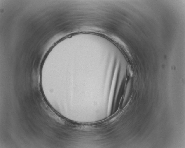 X0000080711280200701051000