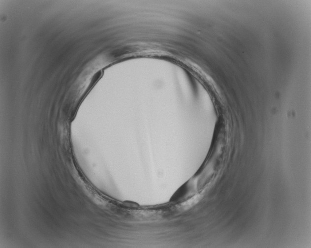 X0000080711281200701051000